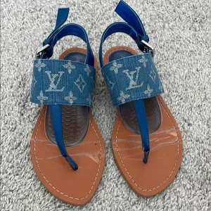 Louis Vuitton Blue and Tan Sandals