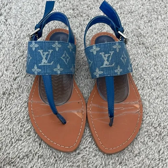 Louis Vuitton Blue and Tan Sandals