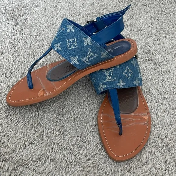 Louis Vuitton Blue and Tan Sandals