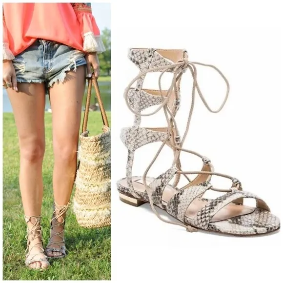 nib // schutz erlina snakeskin gladiator sandals