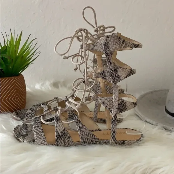 nib // schutz erlina snakeskin gladiator sandals