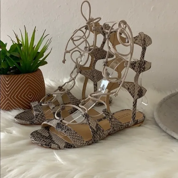 nib // schutz erlina snakeskin gladiator sandals