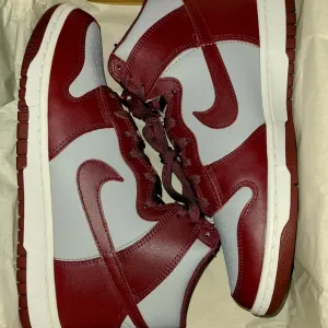 Nike Dunk Mens Shoes